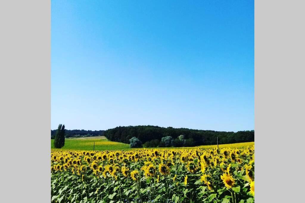 As Seen On A New Life In The Sun - Beautiful 3 Bedroom Cottage With Shared Pool Montboyer エクステリア 写真