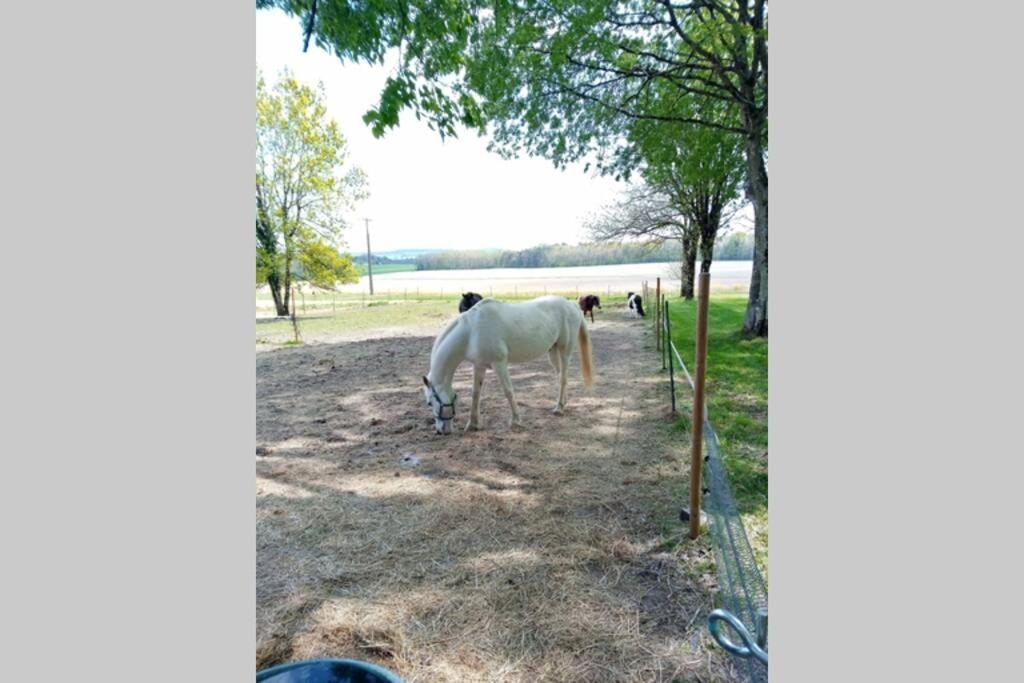 As Seen On A New Life In The Sun - Beautiful 3 Bedroom Cottage With Shared Pool Montboyer エクステリア 写真