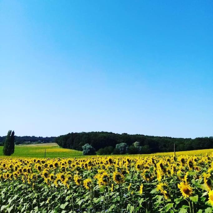 As Seen On A New Life In The Sun - Beautiful 3 Bedroom Cottage With Shared Pool Montboyer エクステリア 写真