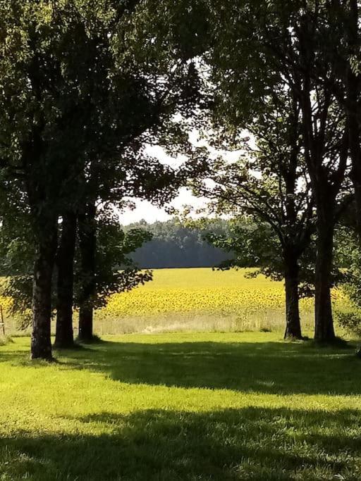 As Seen On A New Life In The Sun - Beautiful 3 Bedroom Cottage With Shared Pool Montboyer エクステリア 写真