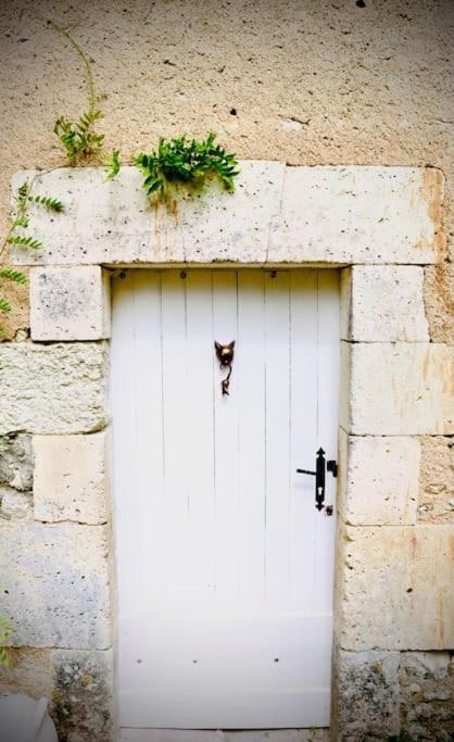 As Seen On A New Life In The Sun - Beautiful 3 Bedroom Cottage With Shared Pool Montboyer エクステリア 写真